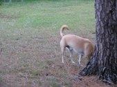 Enlarge photo 19