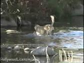 Enlarge WMV 10