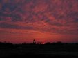 Skies