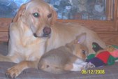 Enlarge photo 4