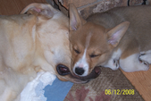 Enlarge photo 6