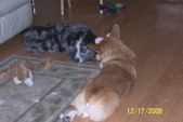 Enlarge photo 9