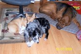 Enlarge photo 16