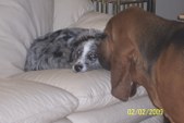 Enlarge photo 18