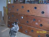 Enlarge photo 24
