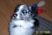 Enlarge photo 17