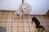 Enlarge photo 18