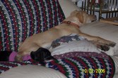 Enlarge photo 24