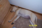 Enlarge photo 11