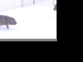 Enlarge MOV 7