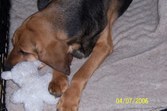 Enlarge photo 3