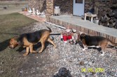 Enlarge photo 11