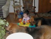 Enlarge photo 17