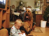 Enlarge photo 23