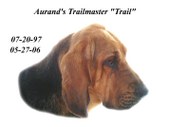 Trail_1997-2006
