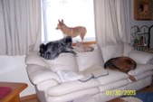 Enlarge photo 2