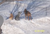 Enlarge photo 5