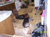 Enlarge photo 10
