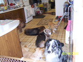 Enlarge photo 12