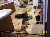 Enlarge photo 13