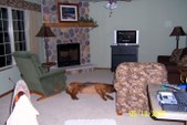 Enlarge photo 5