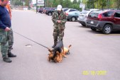 Enlarge photo 18