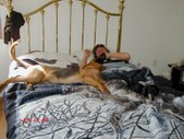 Enlarge photo 24