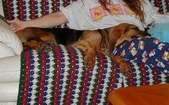 Enlarge photo 13