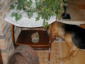 Enlarge photo 22