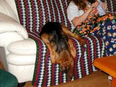 Enlarge photo 17