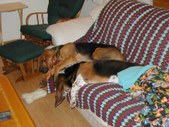 Enlarge photo 18