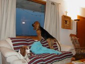 Enlarge photo 19