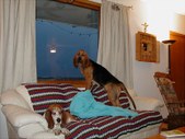 Enlarge photo 20