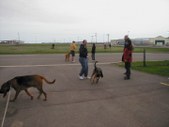 Enlarge photo 12