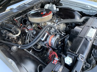 Enlarge photo 37