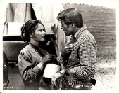 Enlarge photo 41