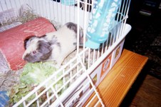 Enlarge photo 443