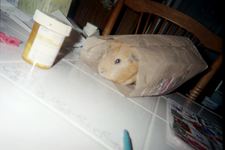 Enlarge photo 12
