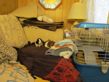 Enlarge photo 319