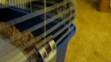 Enlarge MOV 330
