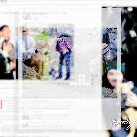Enlarge photo 3824