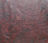Honomu series 2015