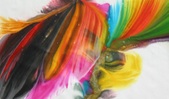Poured Paintings 2008-2010