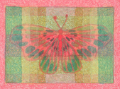 Pulelehua 2015