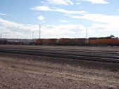 Enlarge photo 57