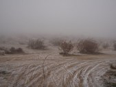 Enlarge photo 68