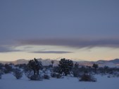 Enlarge photo 75