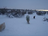 Enlarge photo 77