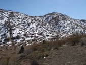 Enlarge photo 85