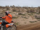 Enlarge photo 92